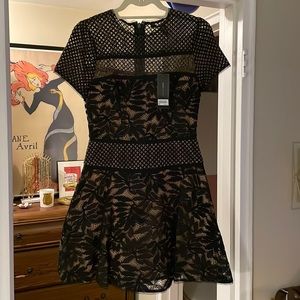 BCBGMAXAZRIA Mini Lace Dress - Black/Tan